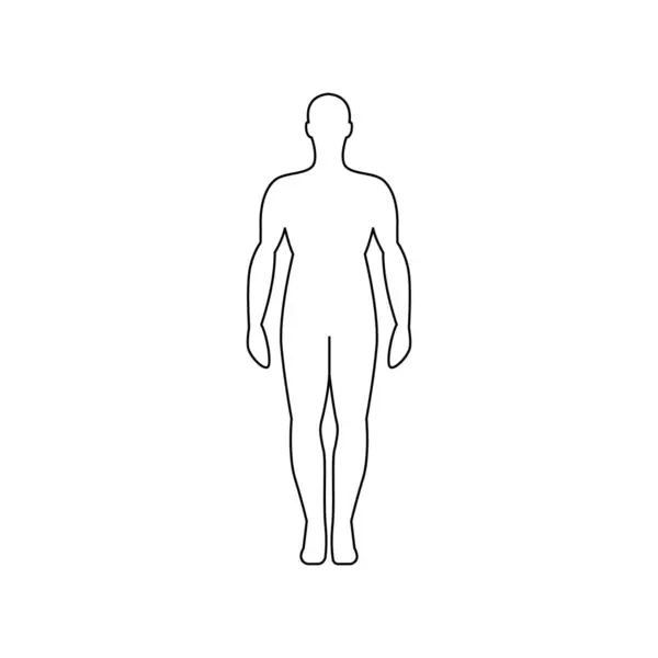 Men Body Color Line Icon Organisation Organism — Stock Vector
