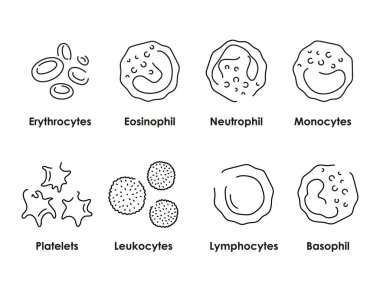 Kan hücrelerinin renk simgeleri ayarlandı. Beyaz kan hücreleri, eritrositler, trombositler.