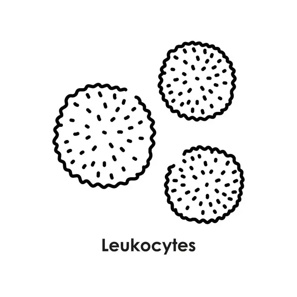 Leukocytes Color Icon White Blood Cells Blood Vessels — Stock Vector