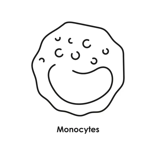 Monocytes Color Icon White Blood Cells Blood Vessels — Stock Vector