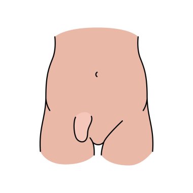 İnsiyonel fıtık çizgisi ikonu. Vektör izole ögesi.