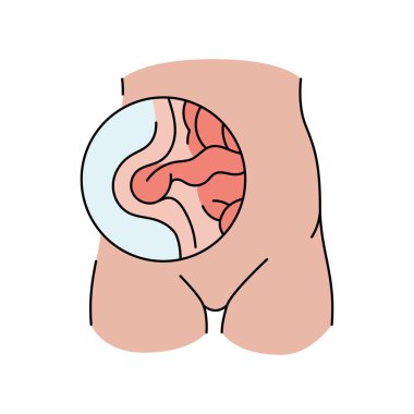 Ön fıtık çizgisi ikonu. Vektör izole ögesi.