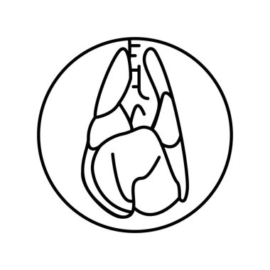 Köpek renkli çizgi ikonunun akciğerleri. Organizma örgütü.