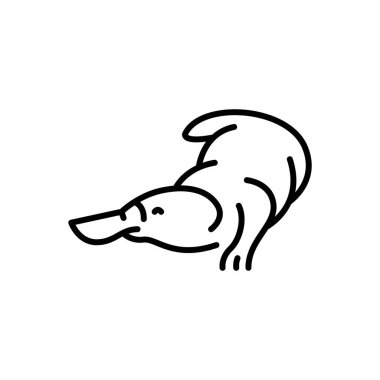 Avustralya ornitorenk siyah çizgi çizimi. Avustralya Hayvanları.