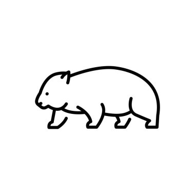 Avustralyalı wombat siyah çizgi çizimi. Avustralya Hayvanları.