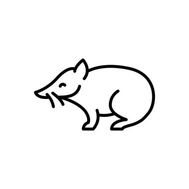 Proboscis kuskus siyah çizgi çizimi. Avustralya Hayvanları.