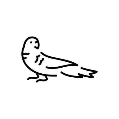 Platycercus elegans renk simgesi. 