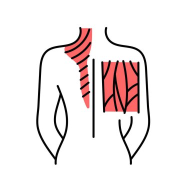 Polimiyozit renk çizgisi simgesi. Otoimmün hastalıklar. 