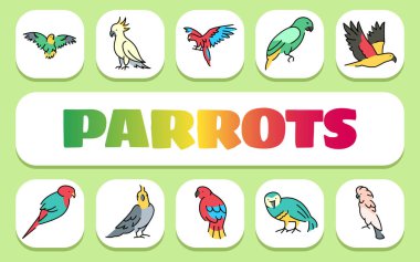 Papağanlar metin konsepti. Shablon sunum ve bilgi grafikleri için. Uygulamalar ve Web siteleri için Asgari Temiz Simgeler.