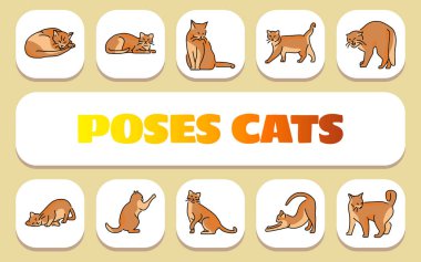 Kedilerin pozları metin konsepti. Shablon sunum ve bilgi grafikleri için. Uygulamalar ve Web siteleri için Asgari Temiz Simgeler.