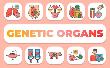 Genetik organlar metin konsepti. Shablon sunum ve bilgi grafikleri için. Uygulamalar ve Web siteleri için Asgari Temiz Simgeler.