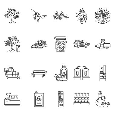 Zeytin yağı üretimi siyah çizgi simgeleri ayarlandı. Vektör izole eleman. Düzenlenebilir vuruş.