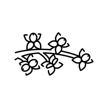 Olive Inlorescence siyah çizgi ikonu. Vektör izole eleman. Düzenlenebilir vuruş.