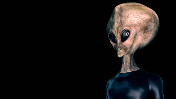 Alien Gris Extraterrestre Extrêmement Détaillé Réaliste Rendu Haute Résolution — Photo