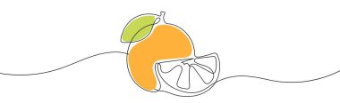 Orange with slice one continuous line vector illustration. Colorful orange hand drawn.
