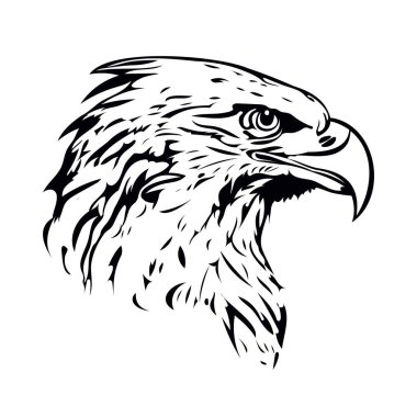 Eagle Head mascot. Bald American eagle head vector illustration.