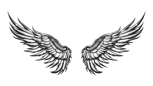 Andělská Křídla Sbírka Ptačích Křídel Ručně Kreslené Vektorové Ilustrace Logo — Stockový vektor