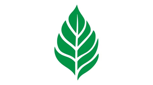 Brote Maqueta Eco Logo Plántulas Hoja Verde Planta Crecimiento Icono — Vector de stock