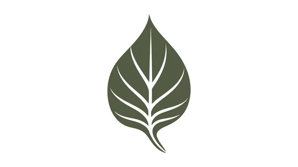 Sprossen Attrappe Öko Logo Grüne Blatt Sämling Wachsende Pflanze Vektorsymbol — Stockvektor