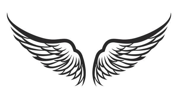 Ailes Ange Collection Ailes Oiseau Illustration Vectorielle Dessinée Main Logo — Image vectorielle