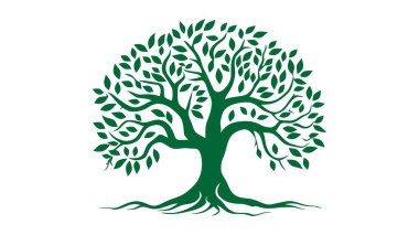 Ağaç vektör simgesi, logo. Beyaz arkaplanda doğa ağaçları vektör illüstrasyon logosu tasarımı.