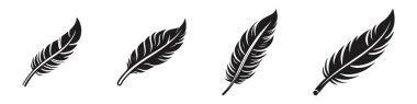 Kuş tüyü seti. El çizimi illüstrasyon vektöre çevrildi. Şeffaf arkaplan ile özet.