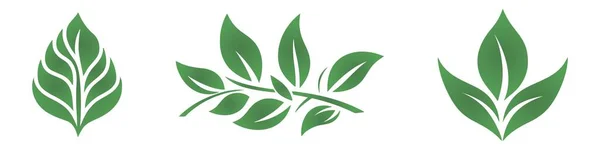 Icônes Feuilles Vertes Sur Fond Blanc Illustration Vectorielle — Image vectorielle