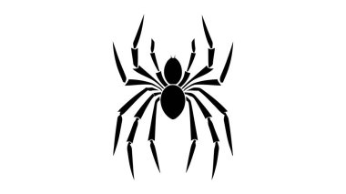 Örümcek siyah ikonu, logo. Vektör illüstrasyonu beyaz arkaplanda izole edildi.