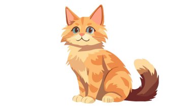 Beyaz arka planda şirin turuncu kedi..