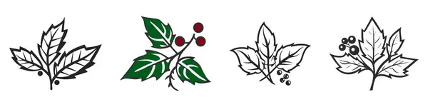 Tanaman Vektor Natal Ditetapkan Holly Berry Pohon Natal Pinus Daun - Stok Vektor