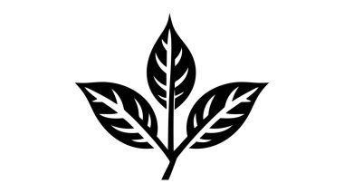 Beyaz arkaplanda izole edilmiş eko simge siyah yaprak vektör çizimi.