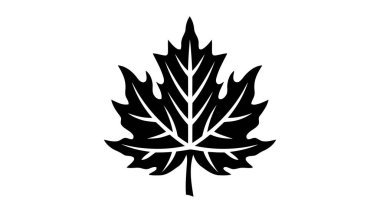 Beyaz arkaplanda izole edilmiş eko simge siyah yaprak vektör çizimi.