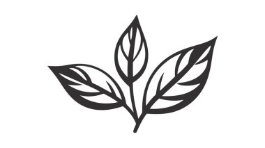 Beyaz arkaplanda izole edilmiş eko simge siyah yaprak vektör çizimi.