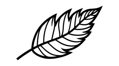 Beyaz arkaplanda izole edilmiş eko simge siyah yaprak vektör çizimi.