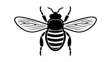 Beyaz bir arka plan üzerinde izole edilmiş bir böceğin vektör siyah silueti.