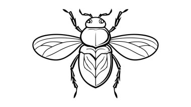 Beyaz bir arka plan üzerinde izole edilmiş bir böceğin vektör siyah silueti.