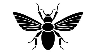 Beyaz bir arka plan üzerinde izole edilmiş bir böceğin vektör siyah silueti.