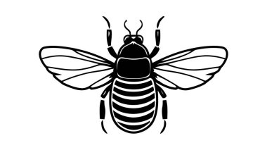 Beyaz bir arka plan üzerinde izole edilmiş bir böceğin vektör siyah silueti.