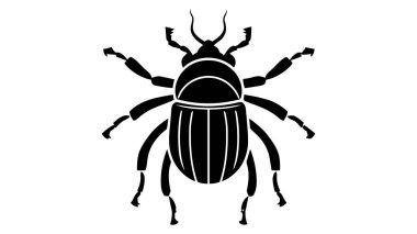 Beyaz bir arka plan üzerinde izole edilmiş bir böceğin vektör siyah silueti.