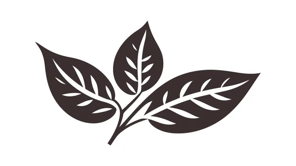 Eco Symbol Schwarzer Blattvektor Illustration Isoliert Auf Weißem Hintergrund — Stockvektor