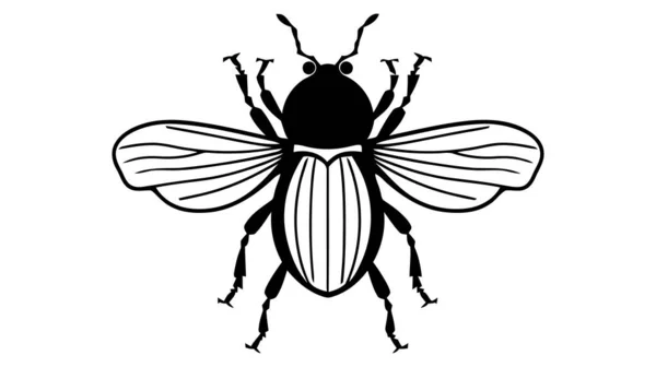 Vector Black Silhouette Beetle Isolated White Background — Stock Vector