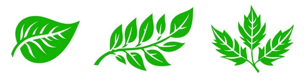 葉のアイコンは 生態系の自然要素 緑の葉 環境と自然環境の記号を設定します 白い背景に葉ベクトル — ストックベクタ