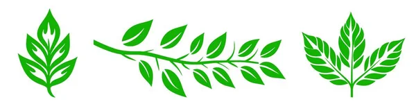 Yaprak Simgeleri Ekoloji Doğa Unsurunu Yeşil Yaprakları Çevreyi Doğa Çevresini — Stok Vektör