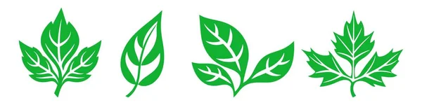Iconos Hojas Establecen Ecología Elemento Naturaleza Hojas Verdes Medio Ambiente — Vector de stock