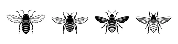 Set Escarabajos Insecto Silueta Animal Negro Ilustrador Vectores — Vector de stock