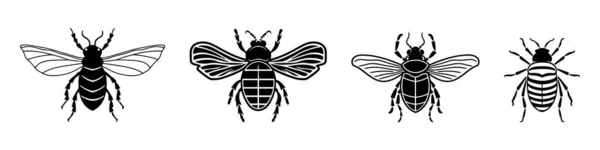 Set Käfer Insekt Schwarze Silhouette Tier Vektorillustrator — Stockvektor