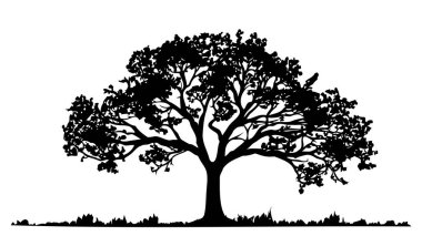 Beyaz arkaplanda siyah ağaç silueti var. Vektör iltihabı.