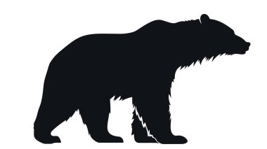 Beyaz arkaplanda izole edilmiş vektör ayı silueti.