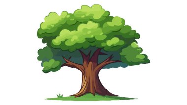 Yeşil çizgi film ağacı. Vektör illüstrasyonu beyaz arkaplanda izole edildi