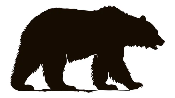 Силуэт Векторного Медведя Изолирован Белом Фоне — стоковый вектор